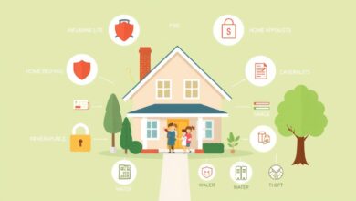 Top 5 home Insurance Options to protect your home
